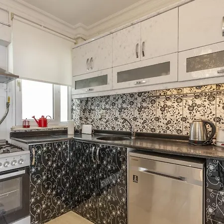 Charming Besiktas Flat With A Lovely Terrace Apartment